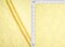 1 Yard Floral Daisy Towel Jacquard Fabric Stretch Polyester Spandex 58/60 Inches Width